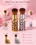 Pinceau maquillage